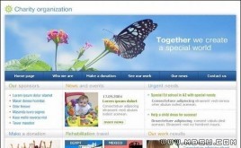 TemplateMonster 兒童模板