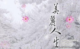 結(jié)婚模板(PSD)