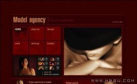 TemplateMonster 模特模板