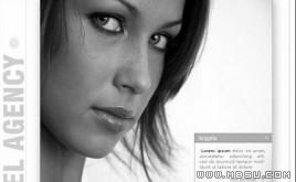 TemplateMonster 模特模板