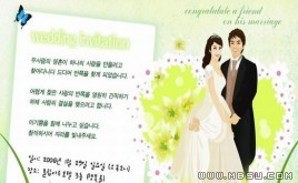 韓國(guó)婚禮請(qǐng)柬模板