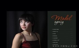 TemplateMonster 模特模板