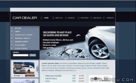 TemplateMonster ܇(ch)ģ