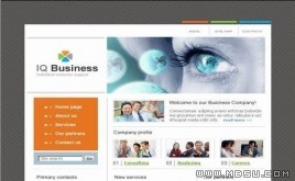 TemplateMonster 商務(wù)模板