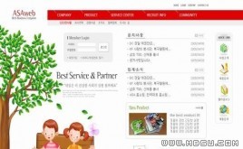 ASA 學(xué)習(xí)模板