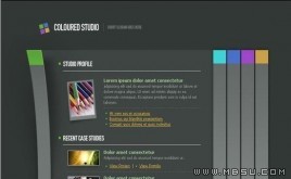 TemplateMonster 學(xué)習(xí)模板