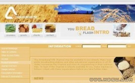 InstantCoffee 食品模板