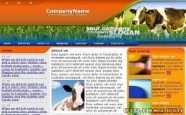 TemplateMonster ţģ