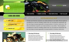 Boxedart 昆蟲(chóng)模板