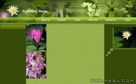 Templatesdd 花草模板