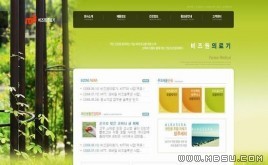 韓國(guó)樹木模板