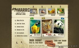 TemplateMonster 動(dòng)物模板