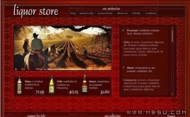 TemplateMonster 酒模板