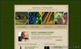 TemplateMonster Ѿģ