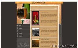 TM 食物模板(FLASH)