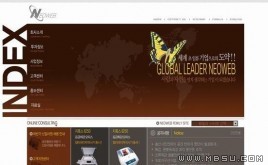 韓國(guó)產(chǎn)品模板