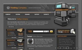 TM 主機(jī)模板(FLASH)