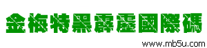 金梅特黑霹靂國際碼字體下載